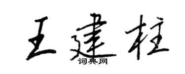 王正良王建柱行书个性签名怎么写
