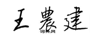 王正良王农建行书个性签名怎么写