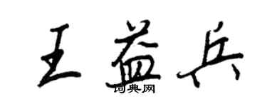 王正良王益兵行书个性签名怎么写