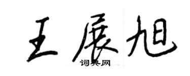 王正良王展旭行书个性签名怎么写