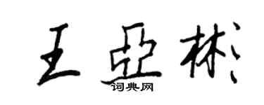 王正良王亚彬行书个性签名怎么写