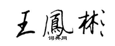王正良王凤彬行书个性签名怎么写