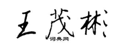 王正良王茂彬行书个性签名怎么写