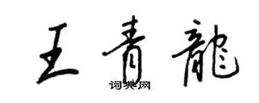 王正良王青龙行书个性签名怎么写