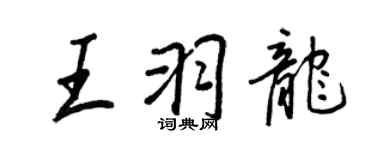 王正良王羽龙行书个性签名怎么写