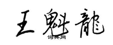 王正良王魁龙行书个性签名怎么写