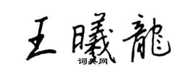 王正良王曦龙行书个性签名怎么写