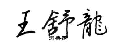 王正良王舒龙行书个性签名怎么写
