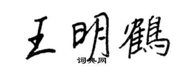 王正良王明鹤行书个性签名怎么写