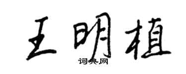 王正良王明植行书个性签名怎么写