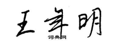 王正良王年明行书个性签名怎么写