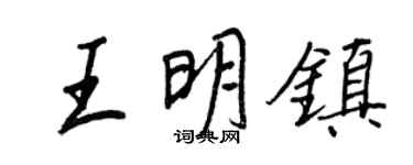 王正良王明镇行书个性签名怎么写
