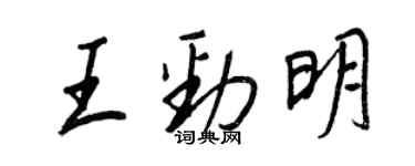 王正良王劲明行书个性签名怎么写