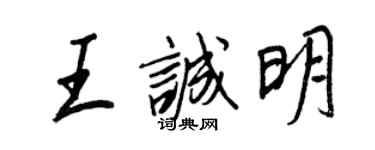 王正良王诚明行书个性签名怎么写