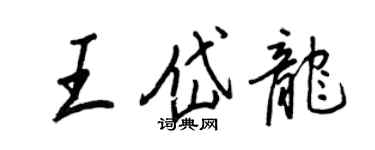 王正良王岱龙行书个性签名怎么写