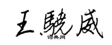 王正良王骁威行书个性签名怎么写