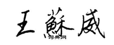 王正良王苏威行书个性签名怎么写