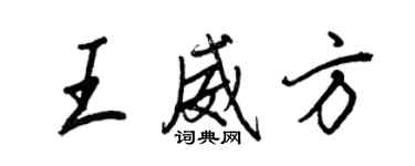 王正良王威方行书个性签名怎么写