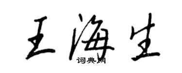 王正良王海生行书个性签名怎么写