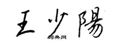 王正良王少阳行书个性签名怎么写