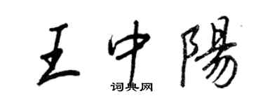 王正良王中阳行书个性签名怎么写