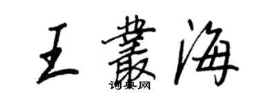 王正良王丛海行书个性签名怎么写