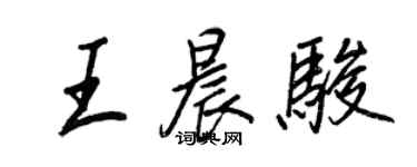 王正良王晨骏行书个性签名怎么写