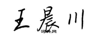 王正良王晨川行书个性签名怎么写
