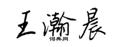 王正良王瀚晨行书个性签名怎么写