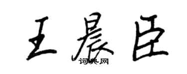 王正良王晨臣行书个性签名怎么写
