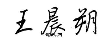 王正良王晨朔行书个性签名怎么写