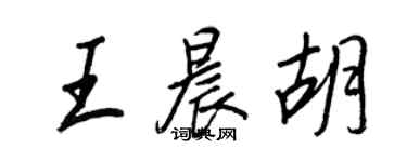 王正良王晨胡行书个性签名怎么写