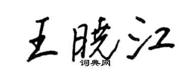 王正良王晓江行书个性签名怎么写