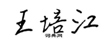 王正良王培江行书个性签名怎么写