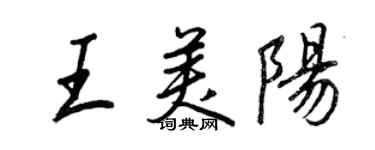 王正良王美阳行书个性签名怎么写