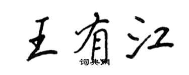 王正良王有江行书个性签名怎么写