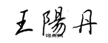 王正良王阳丹行书个性签名怎么写