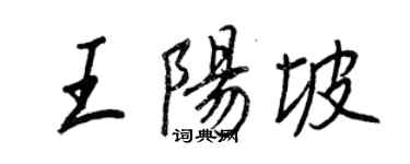 王正良王阳坡行书个性签名怎么写