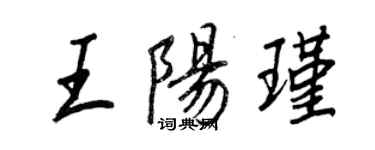 王正良王阳瑾行书个性签名怎么写