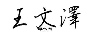 王正良王文泽行书个性签名怎么写