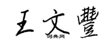 王正良王文丰行书个性签名怎么写