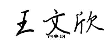 王正良王文欣行书个性签名怎么写