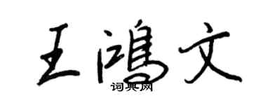 王正良王鸿文行书个性签名怎么写