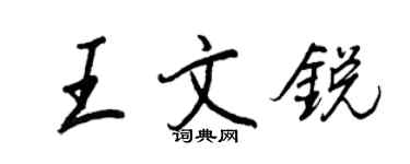 王正良王文锐行书个性签名怎么写