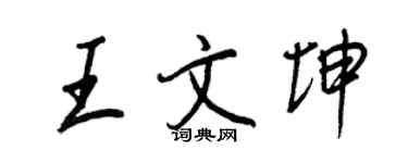王正良王文坤行书个性签名怎么写