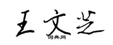 王正良王文芝行书个性签名怎么写