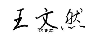 王正良王文然行书个性签名怎么写