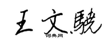 王正良王文骁行书个性签名怎么写