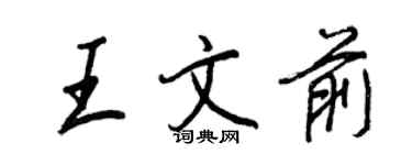 王正良王文前行书个性签名怎么写
