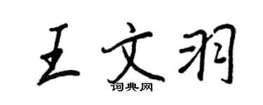王正良王文羽行书个性签名怎么写